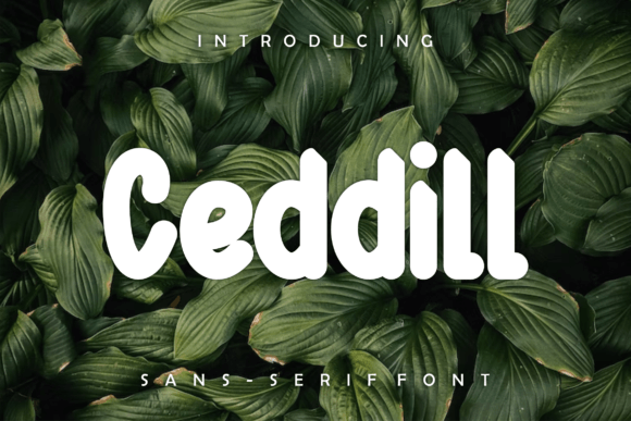 Ceddill: A Bold Display Font for Classy and Modern Design Projects