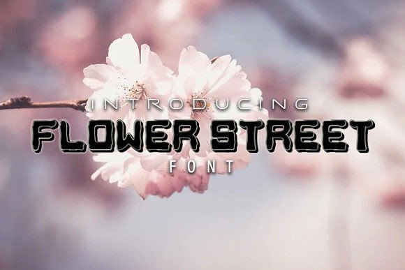 How to Elevate Your Design Projects with the Flower Street Deco-3D Display Typeface